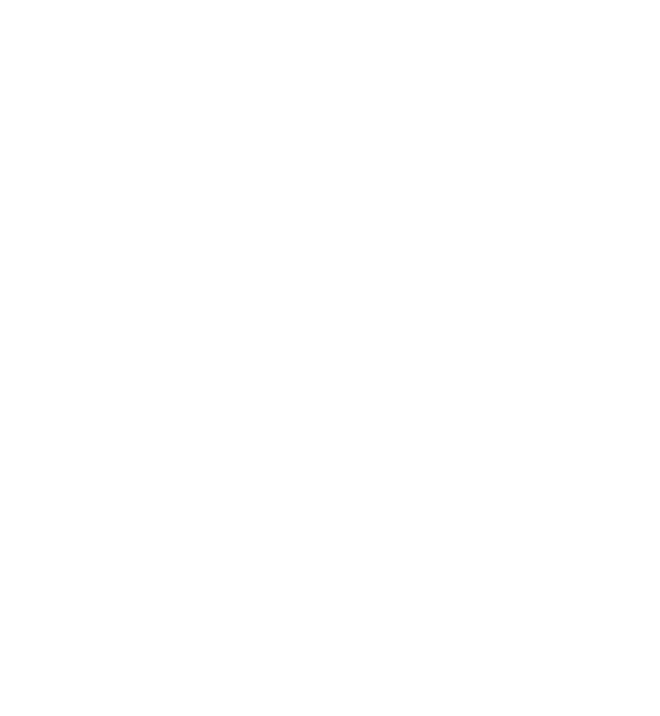 Project Logo